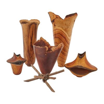 Collection of Carved Live Edge Vessels and a Stand