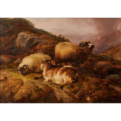 Landscape with Sheep, Welsh Hillside