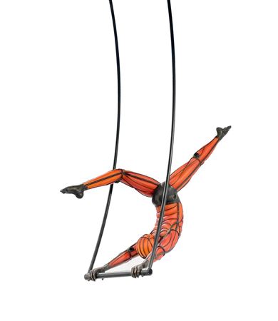 "Trapeze Artist"