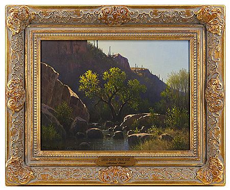 Sabino Canyon Spring Light