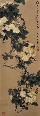 Chrysanthemum