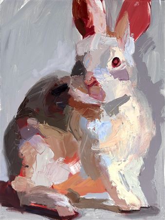 Rabbit