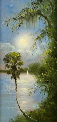 Florida landscape of the Indian River