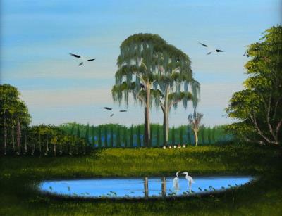 Florida Landscape