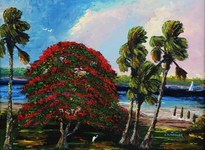 Florida Landscape with Royal Poinciana Tree