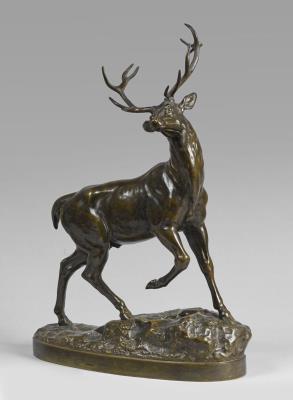 Stag
