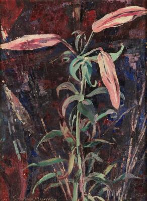 Lilies