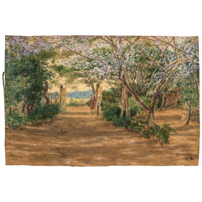 Spring Blossoms