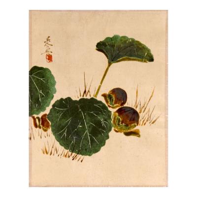 Eggplants and Butterbur