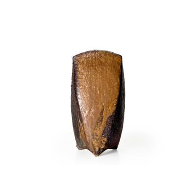 A Bizen-Ware Vase