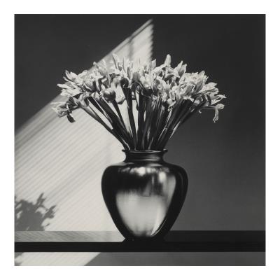 Irises