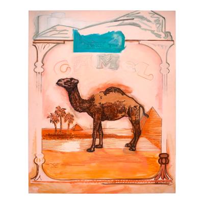 Beyond Camel