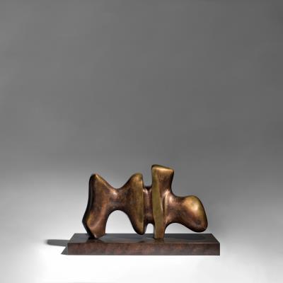 Working Model for Animal Form