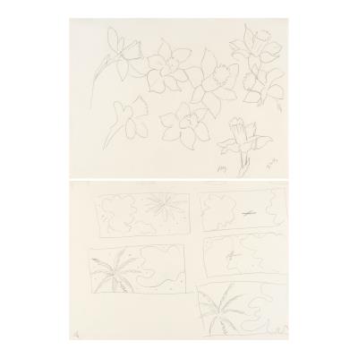 Daffodils (recto); Palms and clouds (verso)