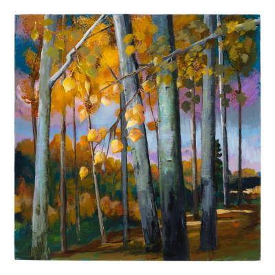 Untitled Forest Landscape