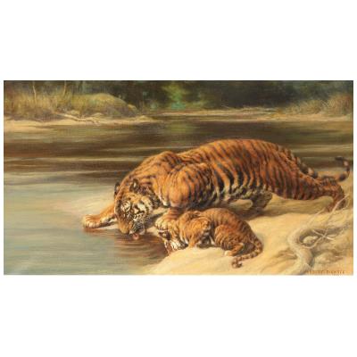 Tigers at the waters edge