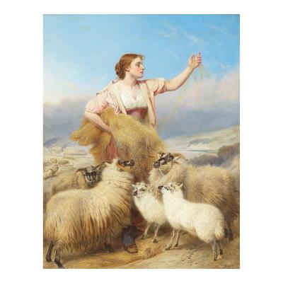 Highland lassie
