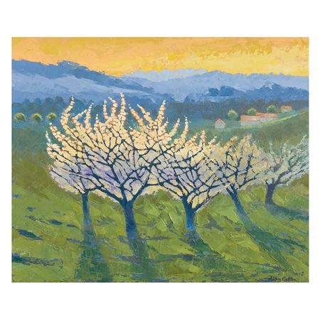 Radiant Blossom in Blue Evening Light by Alan Cotton - Auction record, sale price, and art valuation. Compare with similar artists and explore comparable artworks.