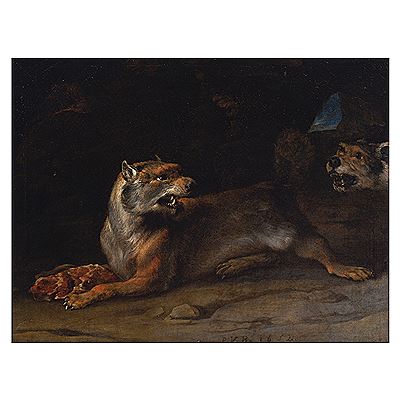 A fox disturbed by a dog