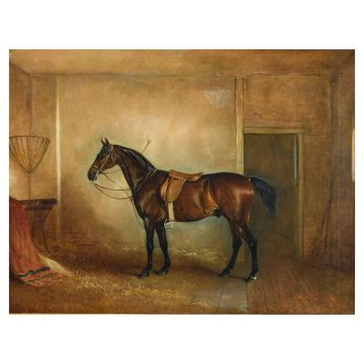 A Bay Hunter in Stable