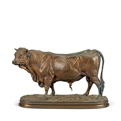 Normande Bull