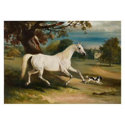 Mr. Dawson's 'Phoebus', a grey hunter with a spaniel, in the grounds of Launde Abbey, Leicestershire