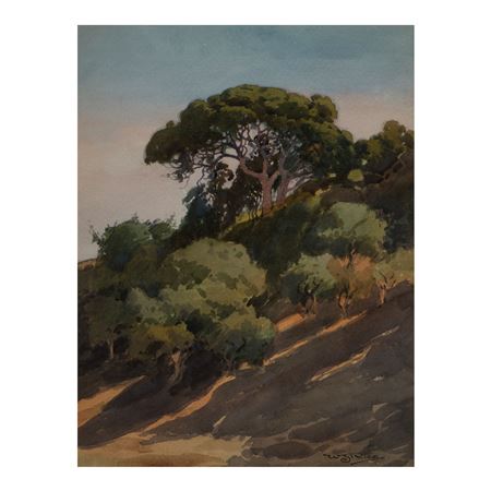 Hillside Near Mills College - Afternoon Shadows