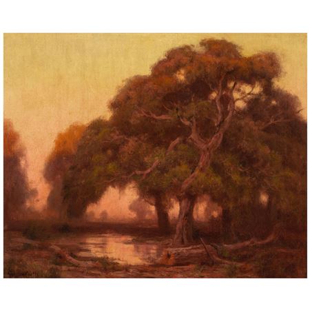 Oaks at Sunset
