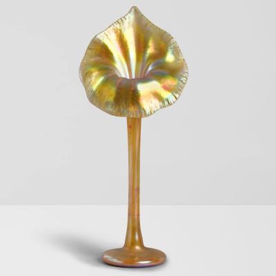 Jack-in-the-Pulpit Vase