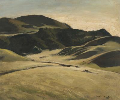 Afternoon light