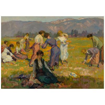 Picking Poppies, Pasadena