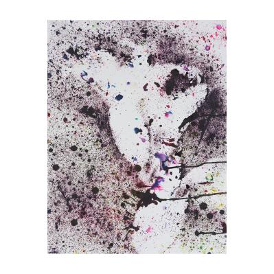 Untitled (Tiger Lillies series)