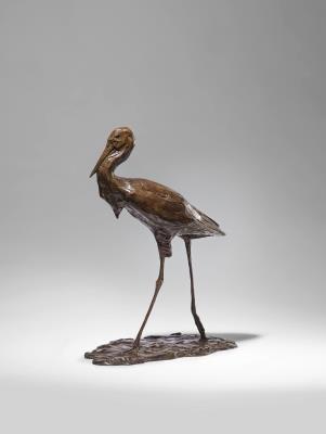 Stork Walking
