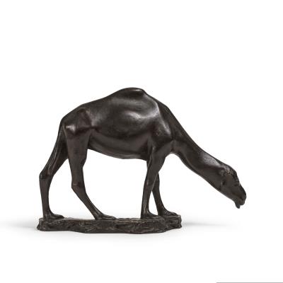 Camel
