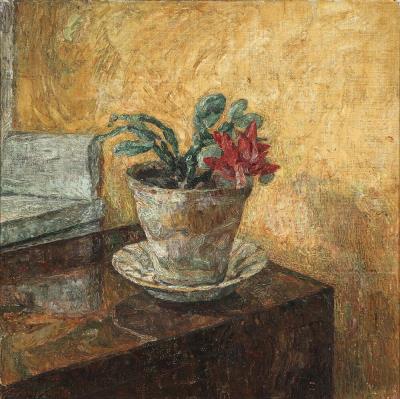 Interior with a plant on a chest of drawers