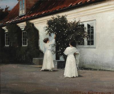 Hvide Roser (White roses)