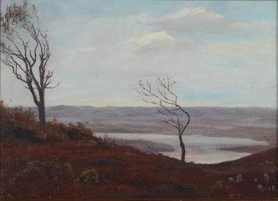 View over moorland landscape at Salten Langsø near Silkeborg