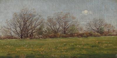 Spring Landscape