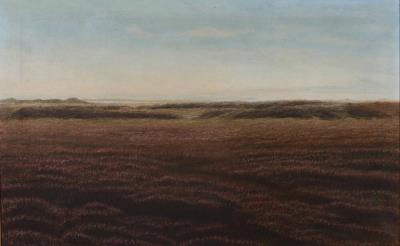 Moorland landscape from Ulfborg