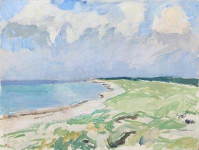 Coastal landscape