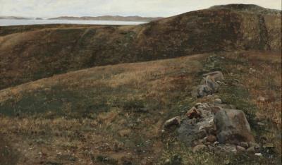 View across a moor landscape