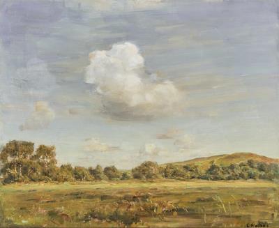 View of a landscape with a birch grove and high sky