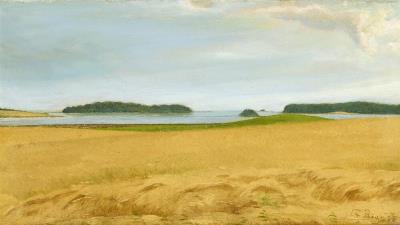 View over a cornfield at Karrebæksminde towards the fjord