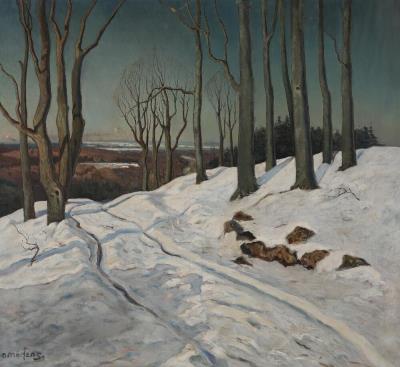 Winter landscape