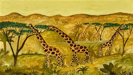 Girafs on the savannah