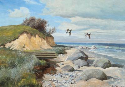 Coastal scenery with flying oystercatchers