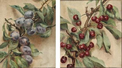 Plum branch; Cherry branch
