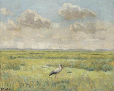 A storch standing on a grass field