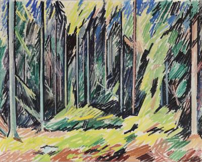Pine forest