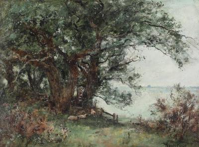 Landscape with sheep